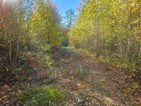 154 Lower Road , Unit LOT 35, Deblois, ME 04622