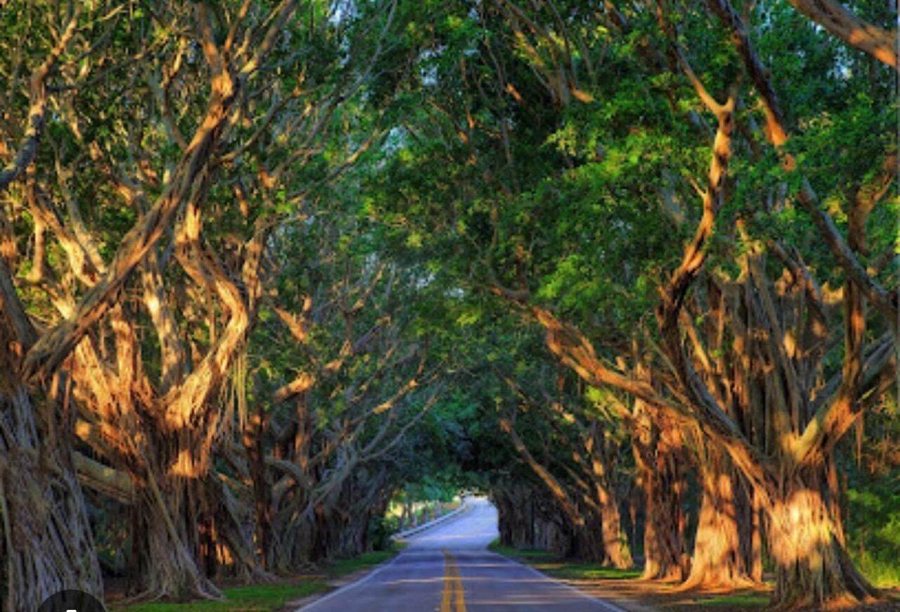 11000 SE Federal Highway, Unit lot 20, Hobe Sound, FL 33455 Photo