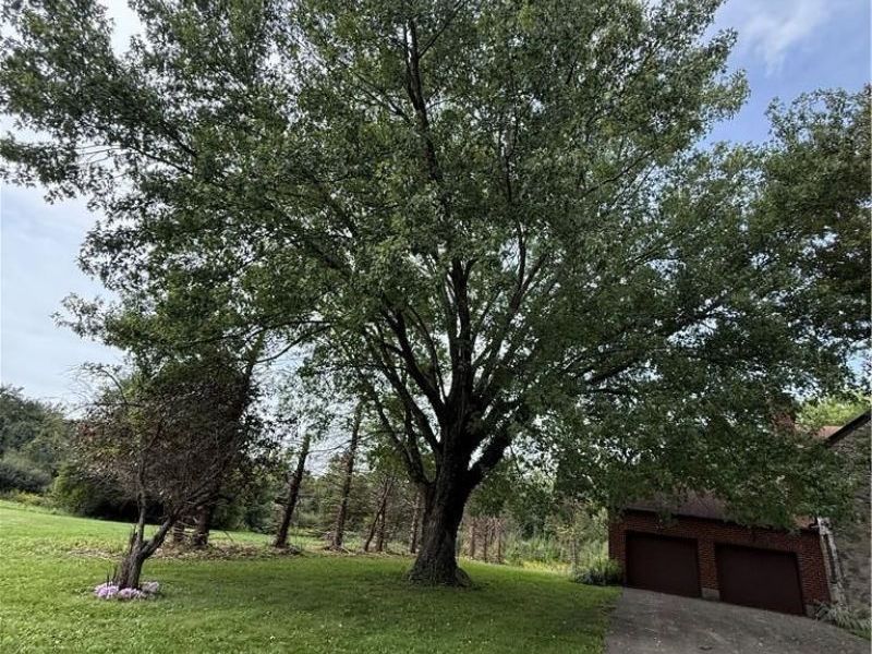 2200 Indian Ripple Road, Xenia, OH 45385 Photo 12