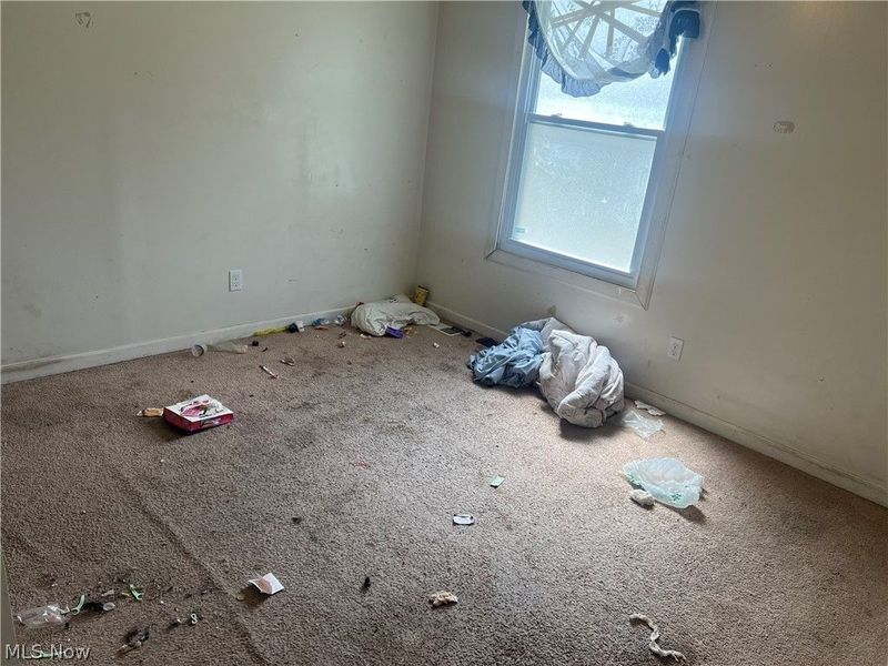 9501 Anderson Avenue, Cleveland, OH 44105 Photo 8