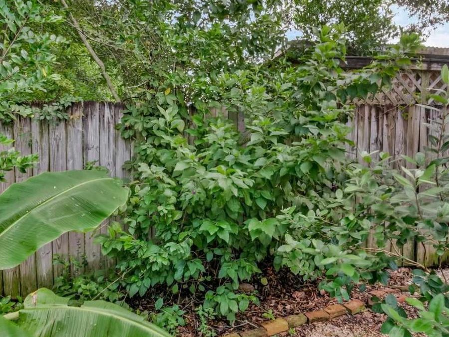 Property Image 64