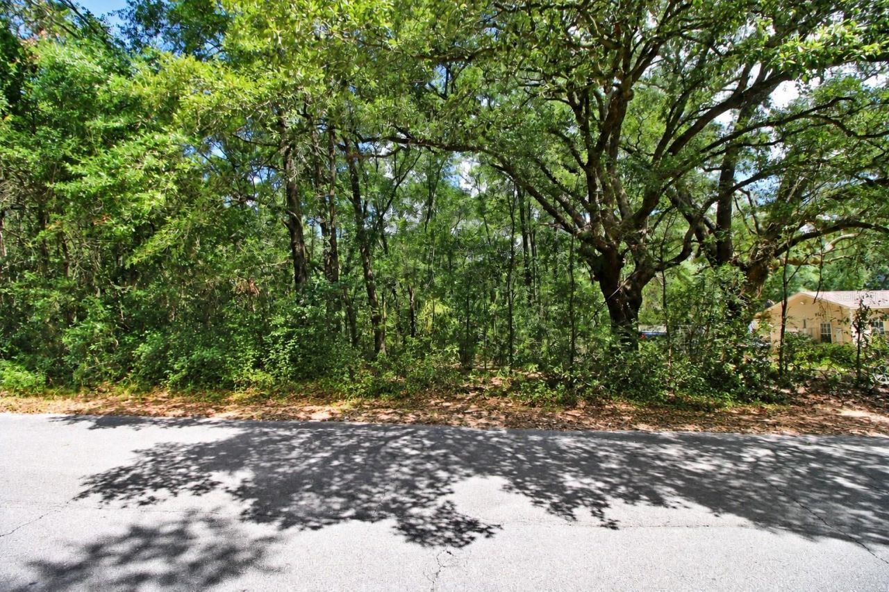 Washington Street, Milton, FL 32570 Photo