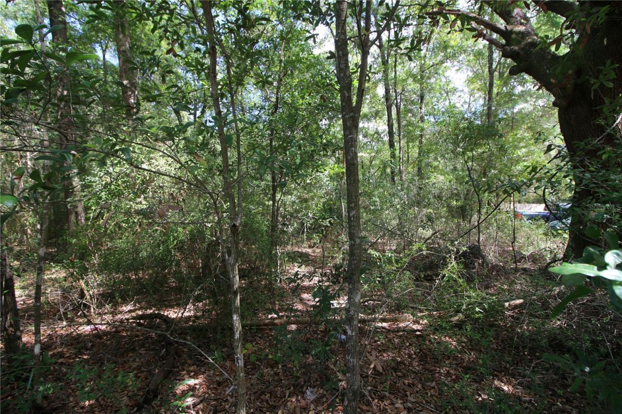 Washington Street, Milton, FL 32570 Photo