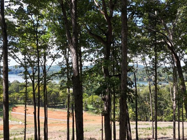 137 Eagles Crest Court , Unit 65, Loudon, TN 37774