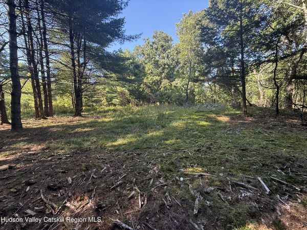 Tbd County Rte 51 , New Baltimore, NY 12124