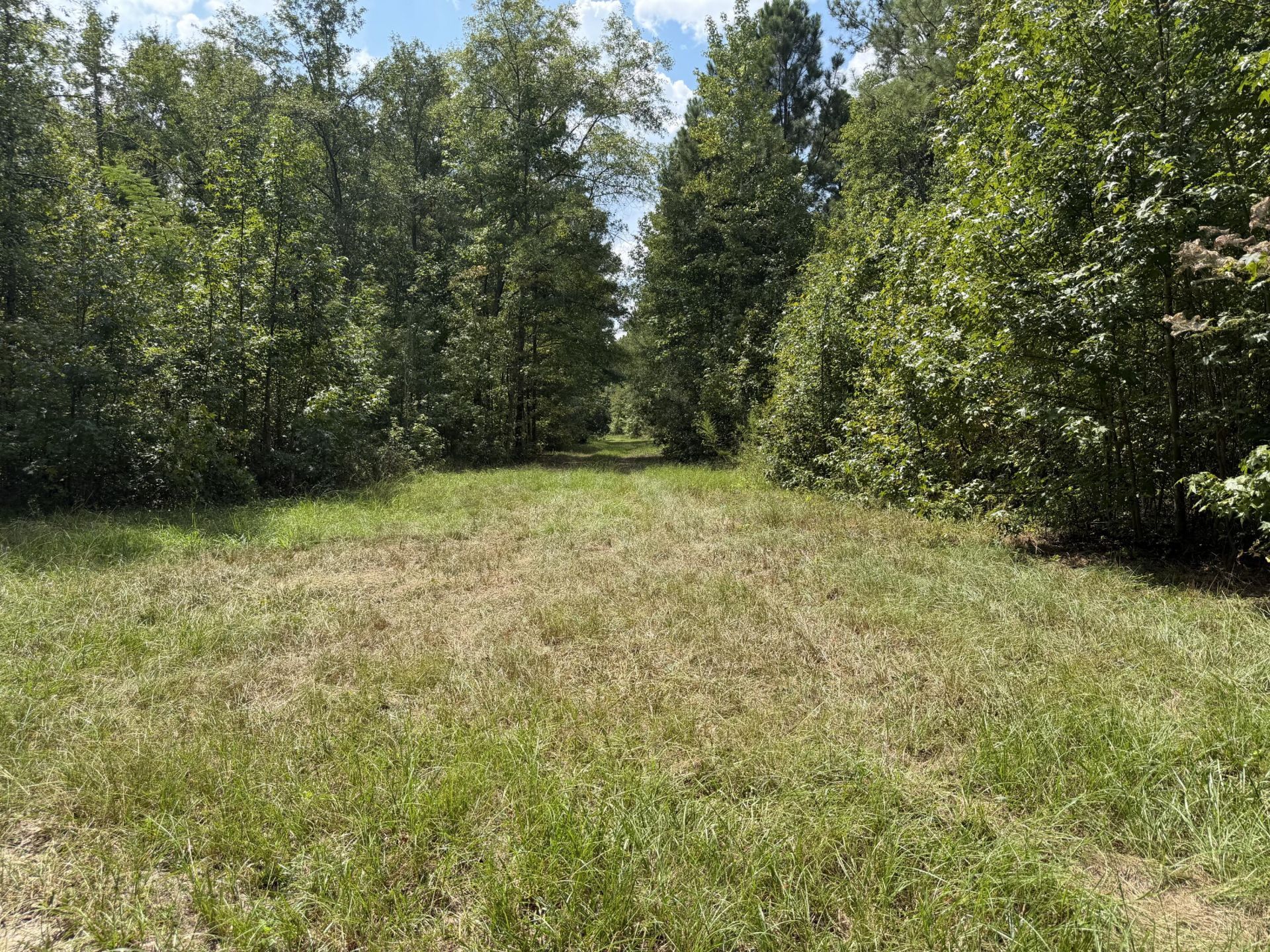 286 Shrike Road Photo 10