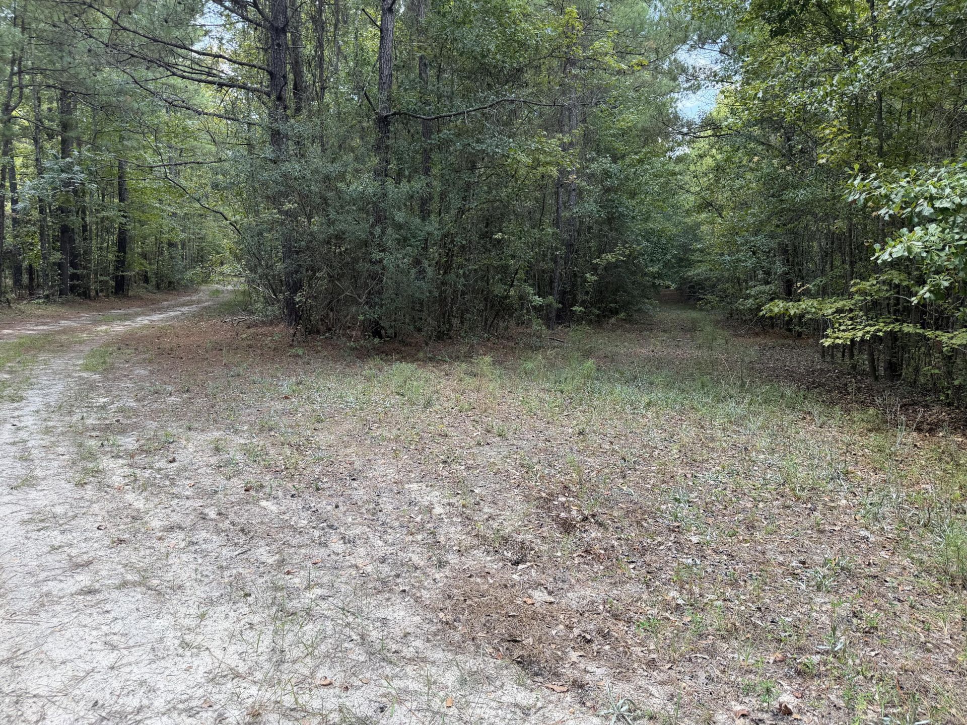 286 Shrike Road Photo 11