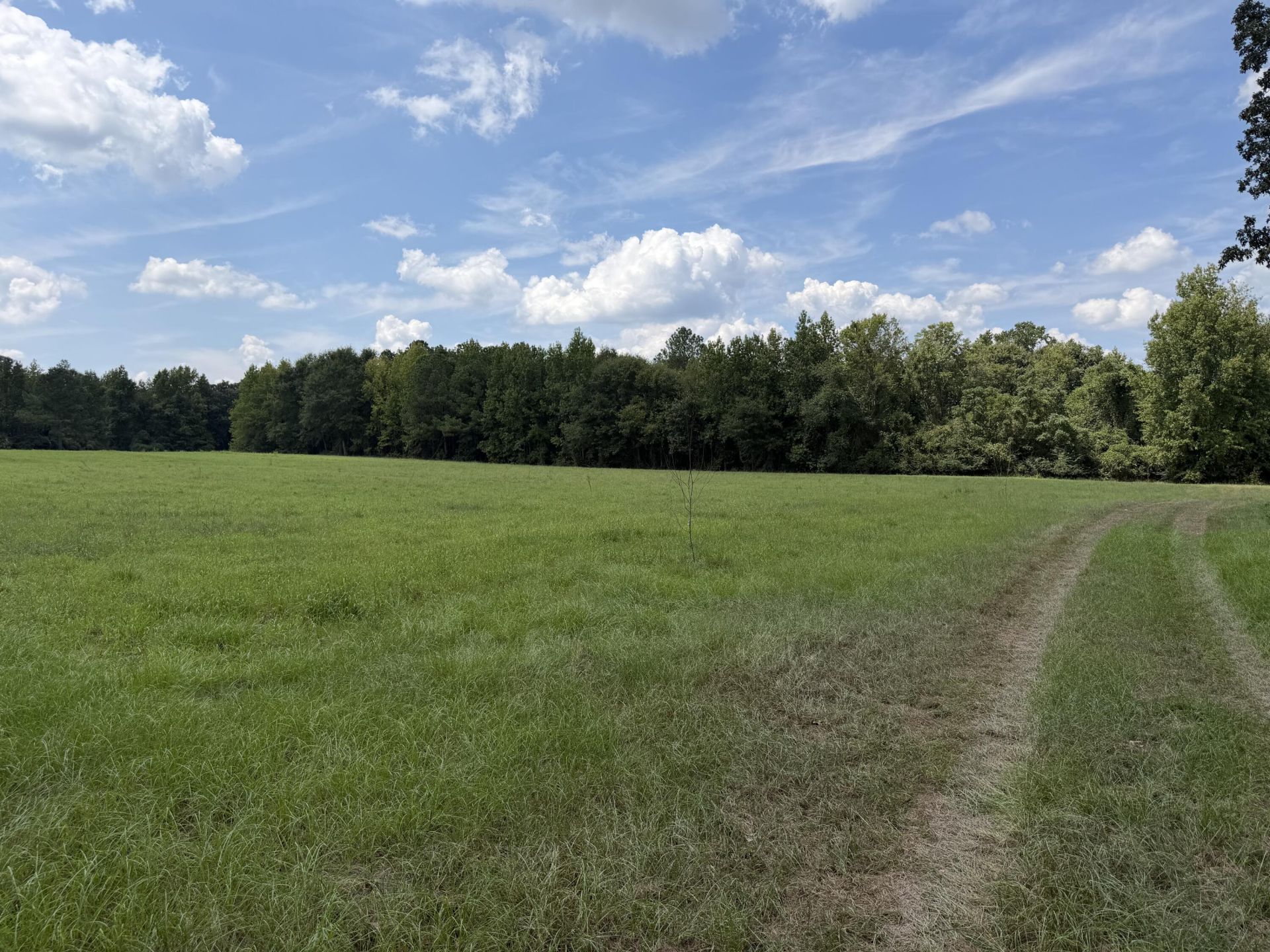 286 Shrike Road Photo 12