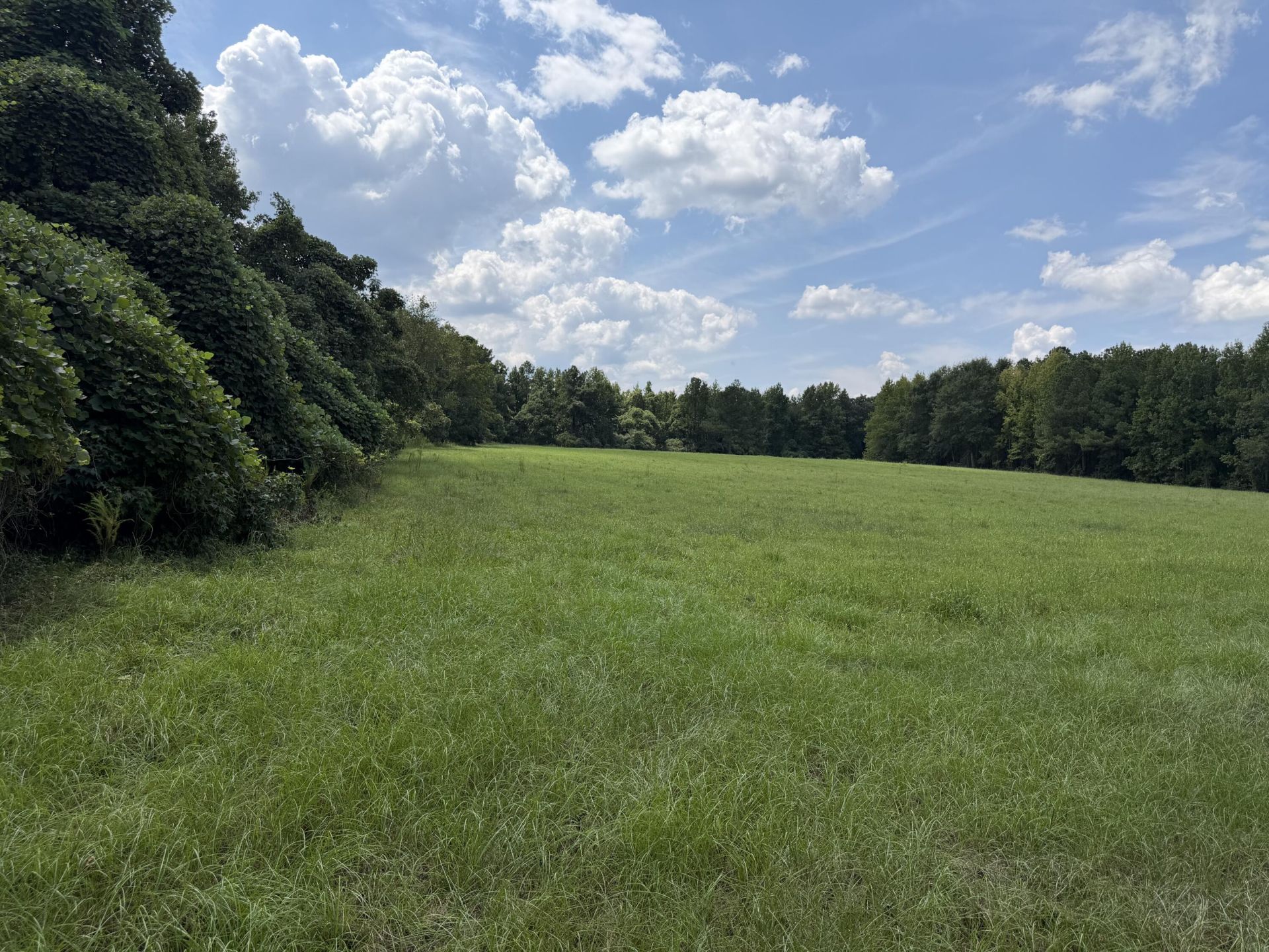 286 Shrike Road Photo 13