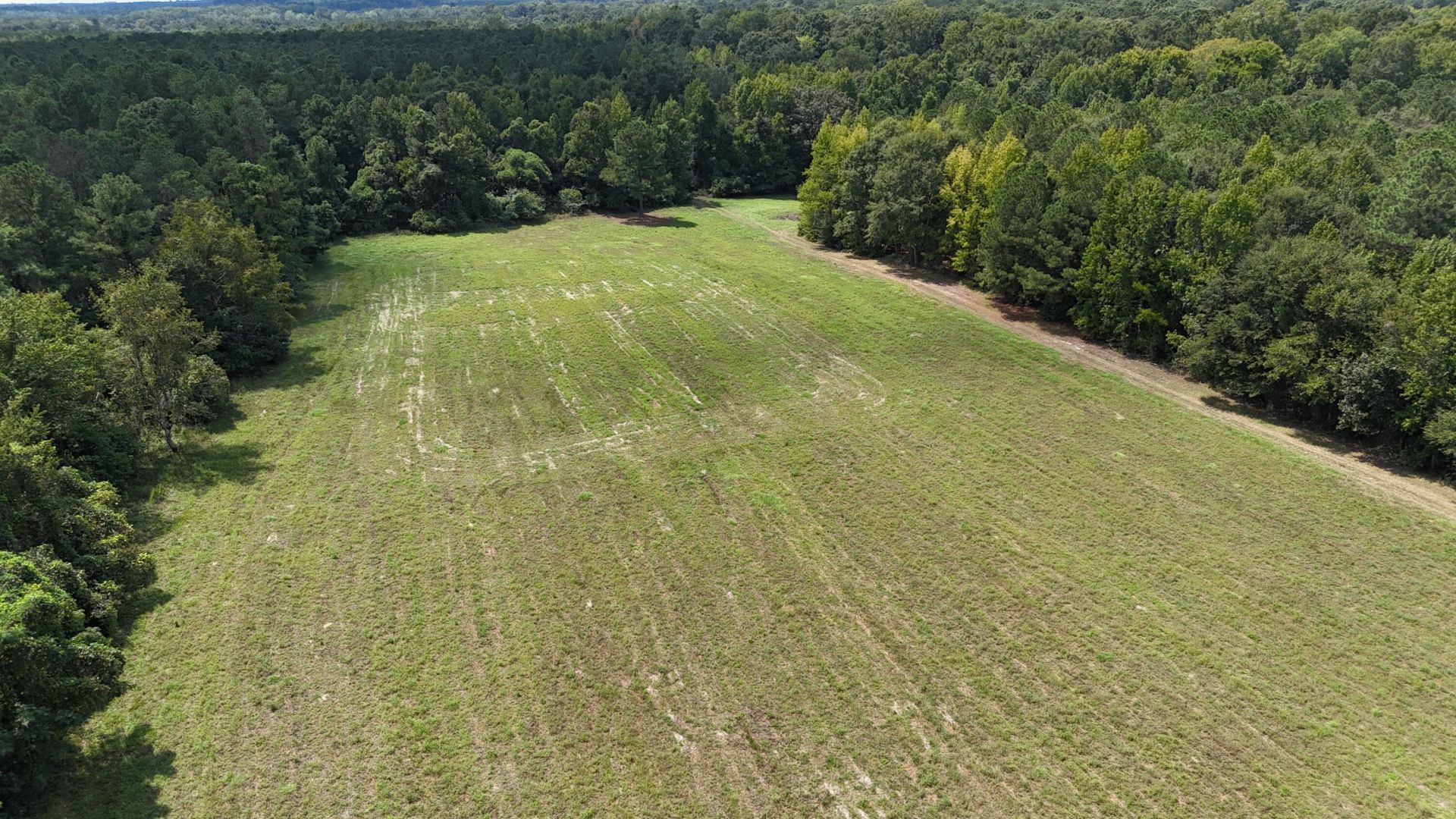 286 Shrike Road Photo 14