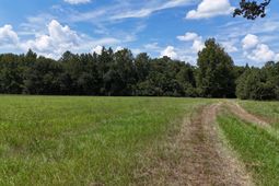 286 Shrike Road photo 4