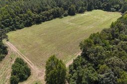 286 Shrike Road photo 4