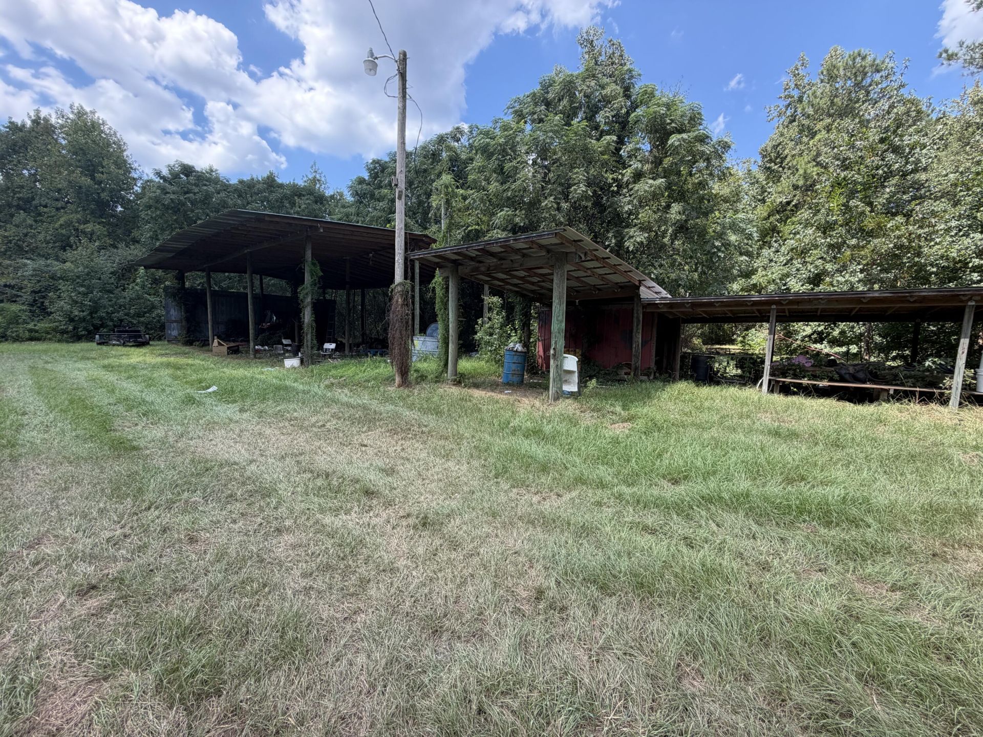 286 Shrike Road Photo 4