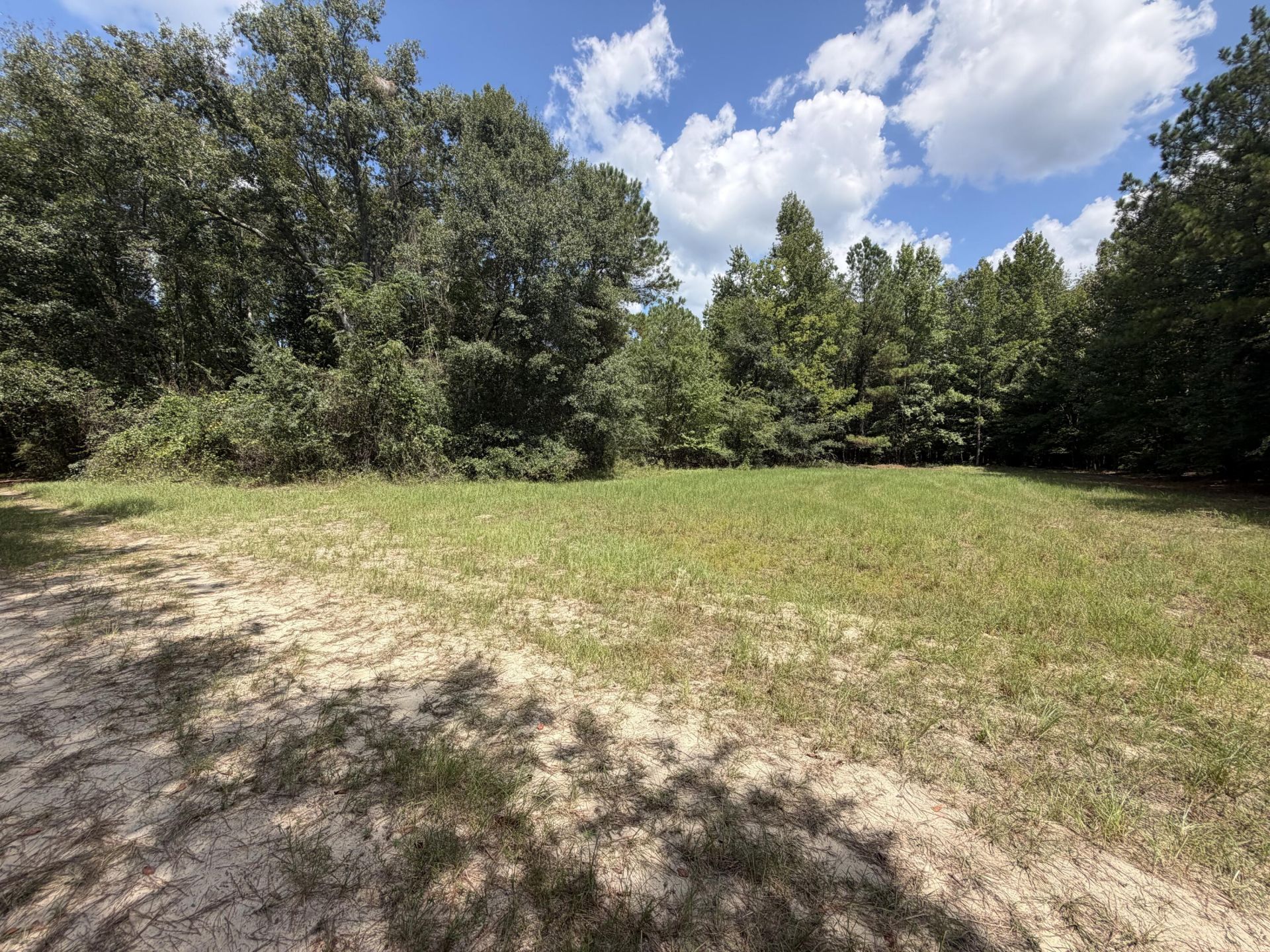 286 Shrike Road Photo 6