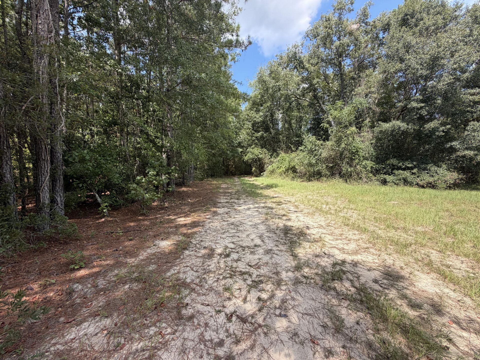 286 Shrike Road Photo 7
