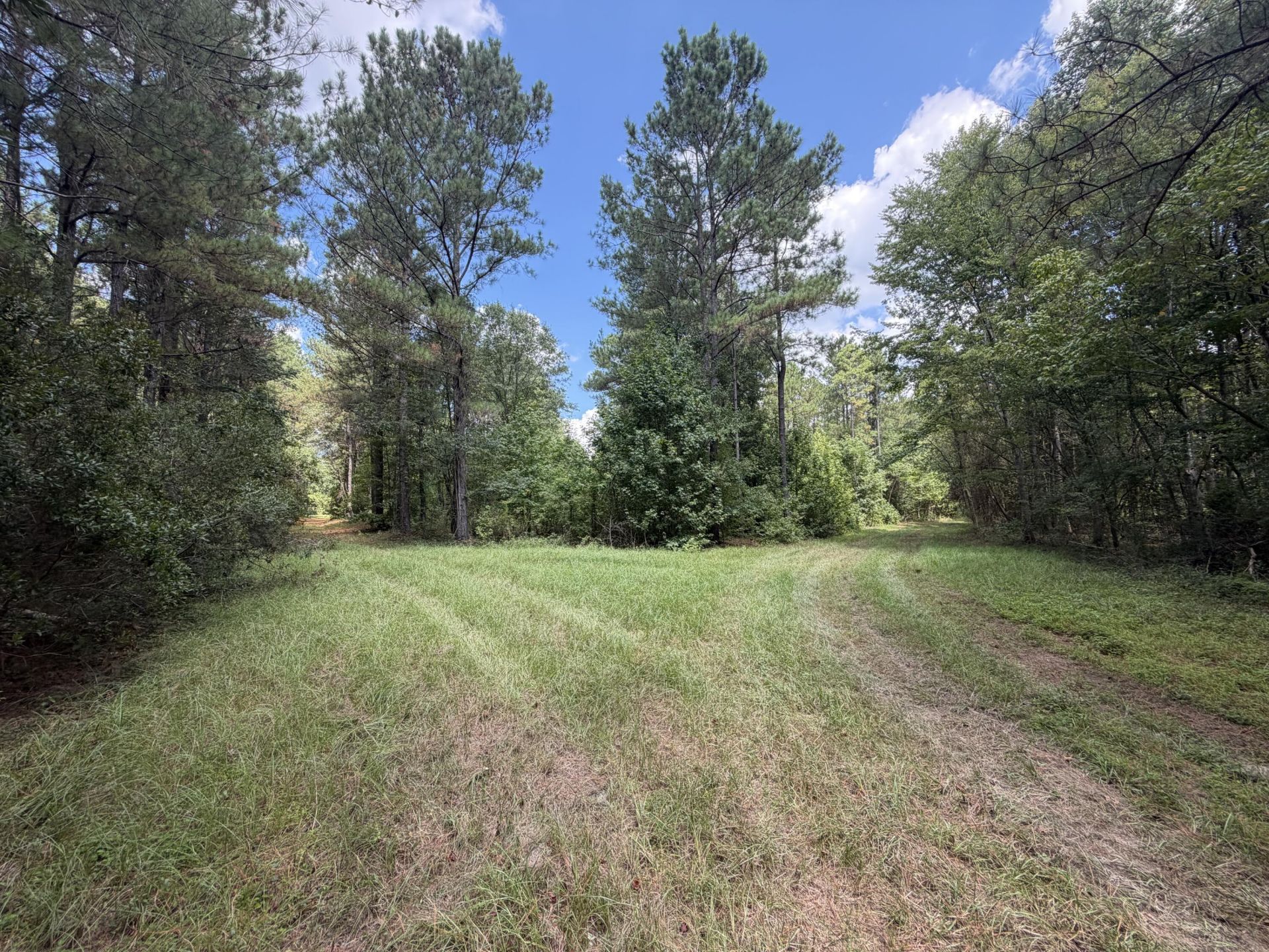 286 Shrike Road Photo 8