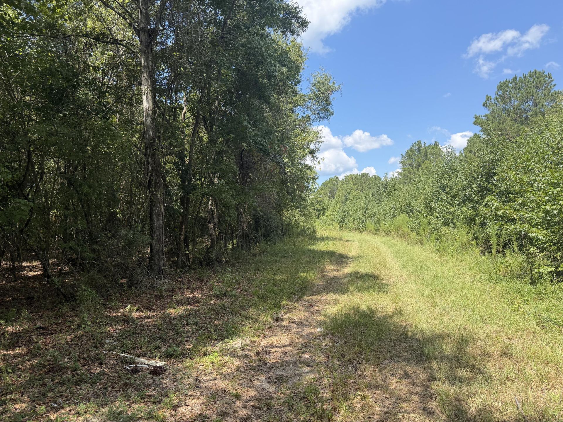 286 Shrike Road Photo 9