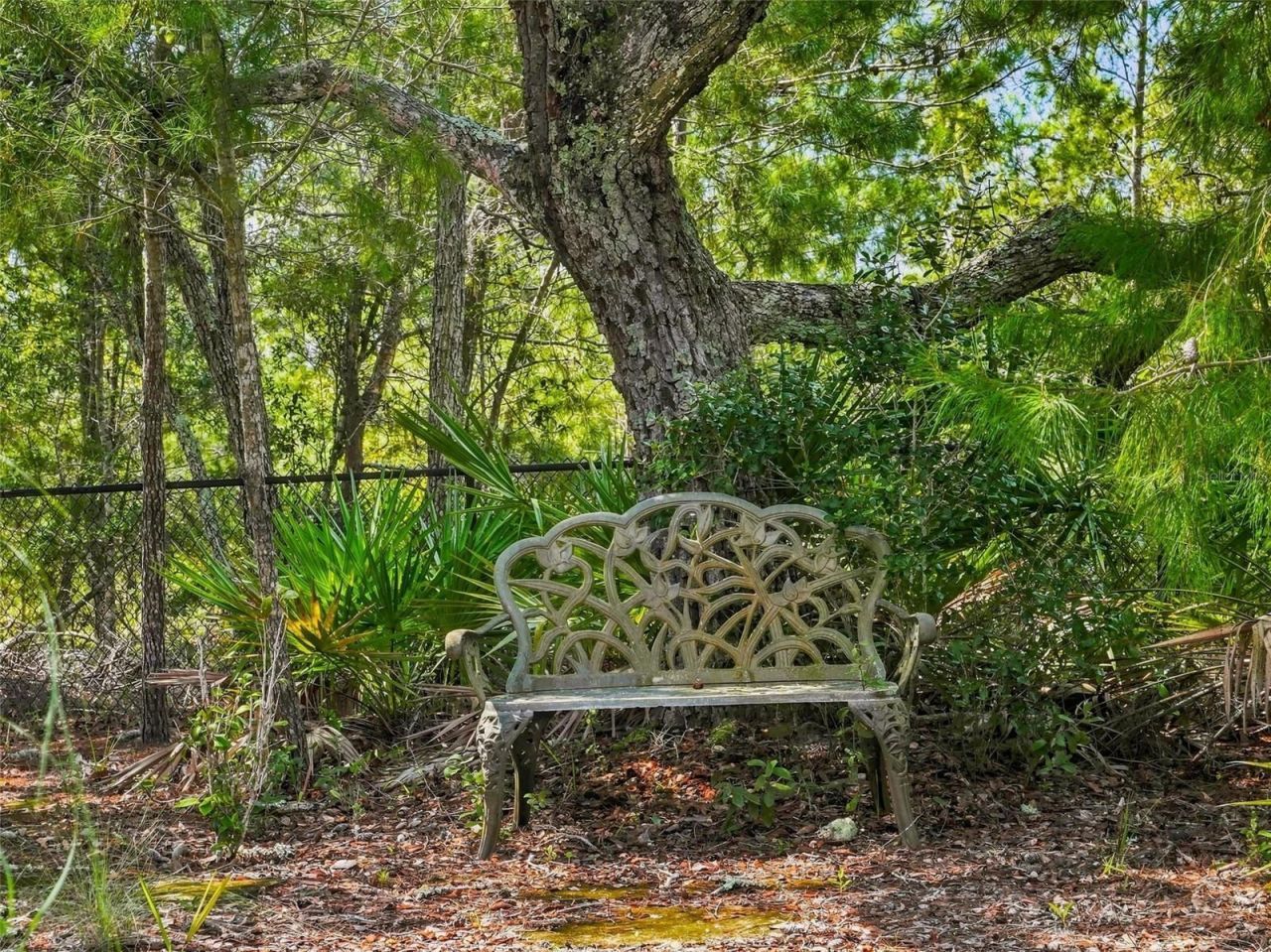 8333 Allen Drive, Weeki Wachee, FL 34613 Photo