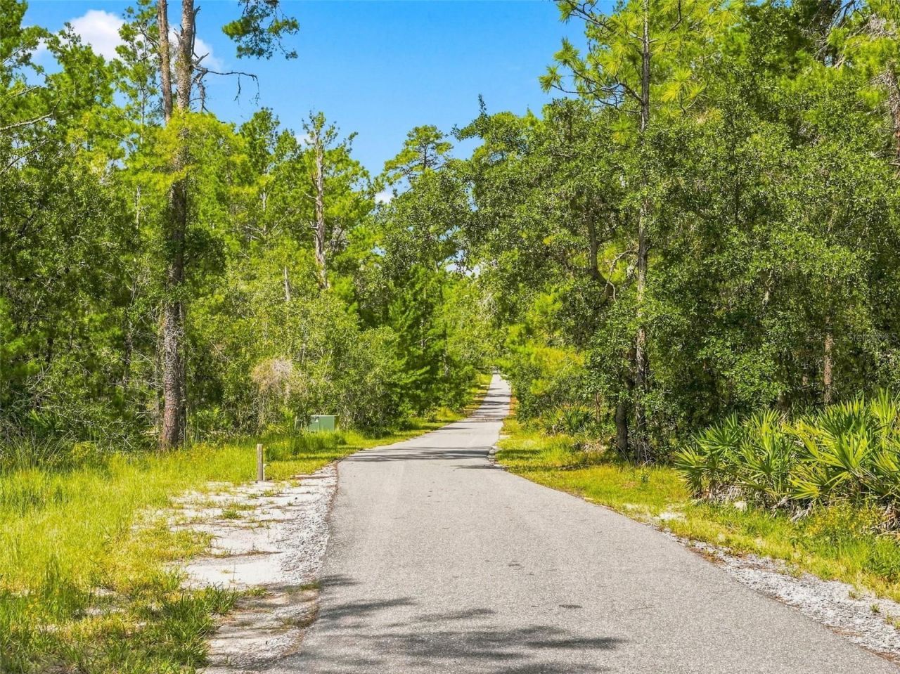 8333 Allen Drive, Weeki Wachee, FL 34613 Photo