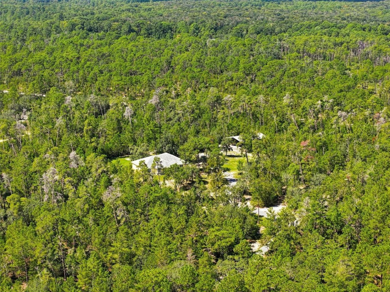 8333 Allen Drive, Weeki Wachee, FL 34613 Photo