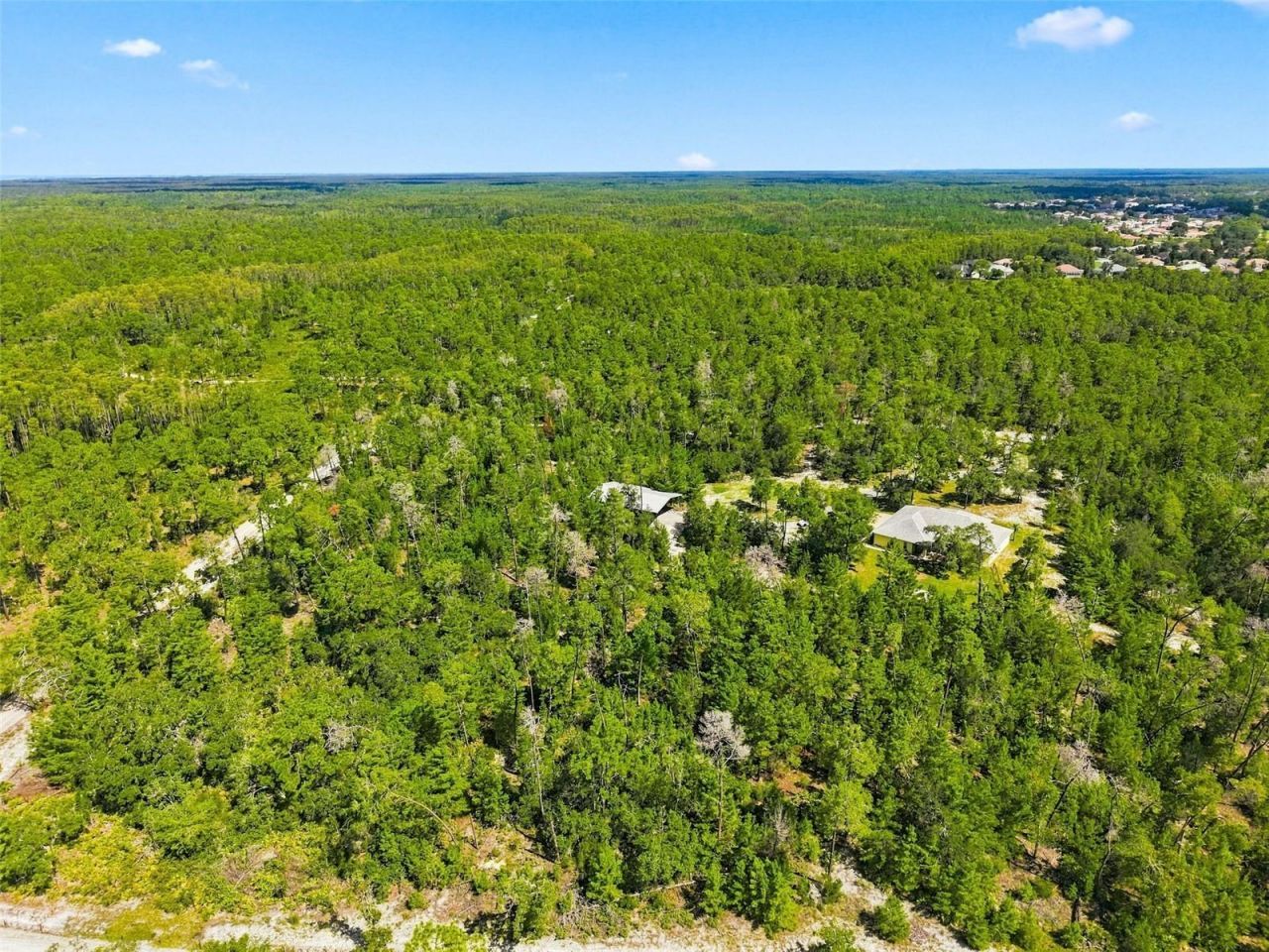 8333 Allen Drive, Weeki Wachee, FL 34613 Photo