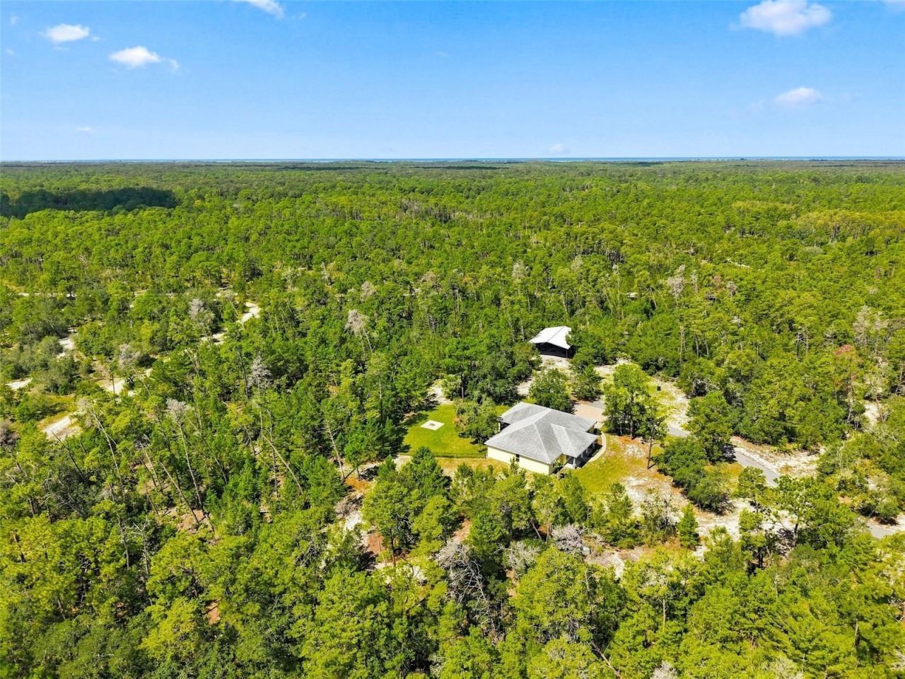 8333 Allen Drive, Weeki Wachee, FL 34613 Photo