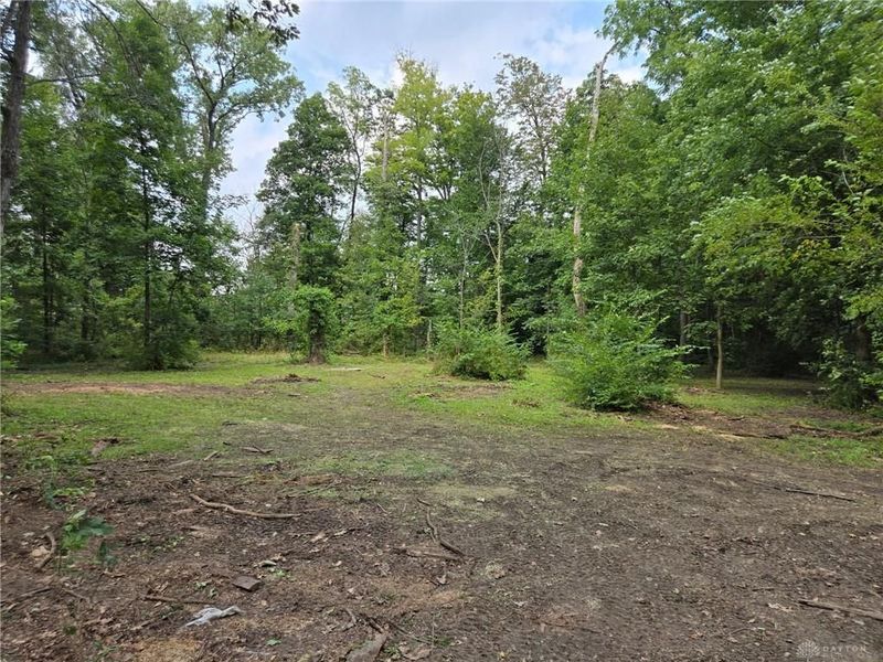 11975 W State Route 571, Laura, OH 45337 Photo 5