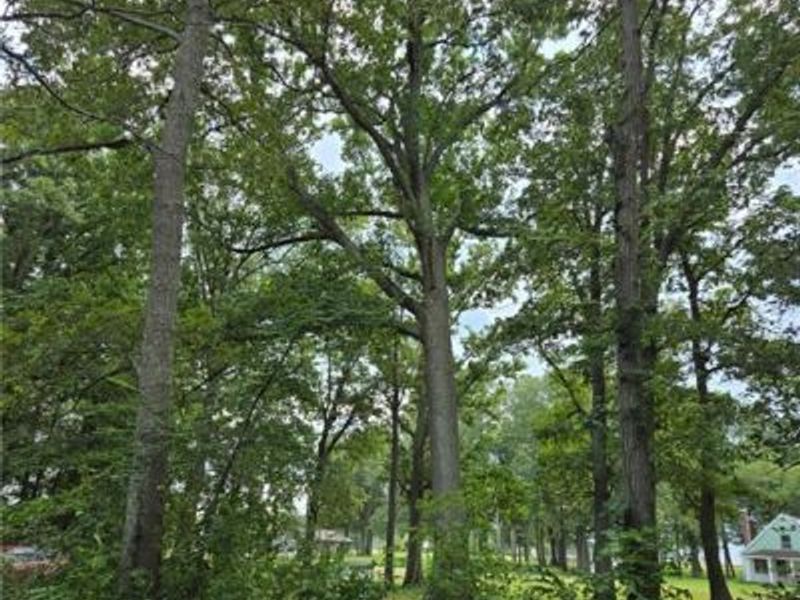 11975 W State Route 571, Laura, OH 45337 Photo 7