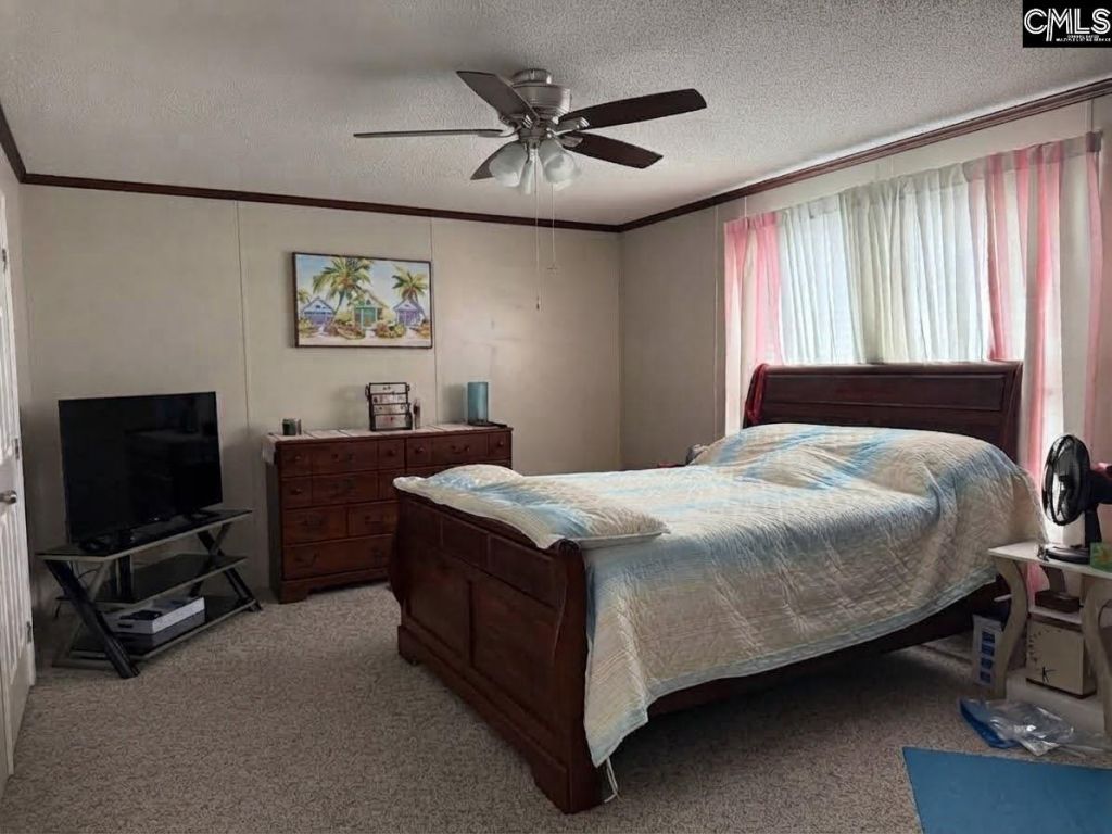 236 Cauthen  Photo 16