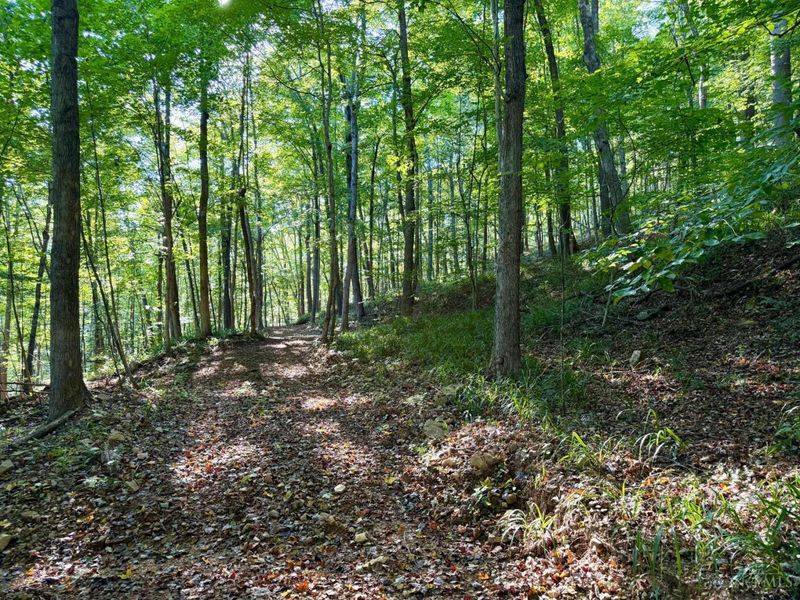 514 Dog Hollow Road, Otway, OH 45657 Photo 11