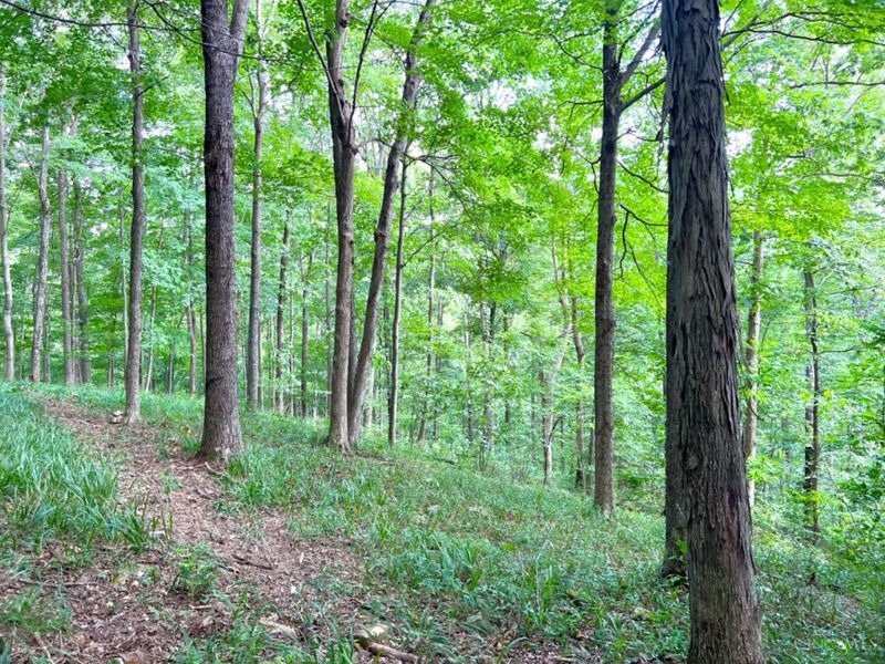 514 Dog Hollow Road, Otway, OH 45657 Photo 27