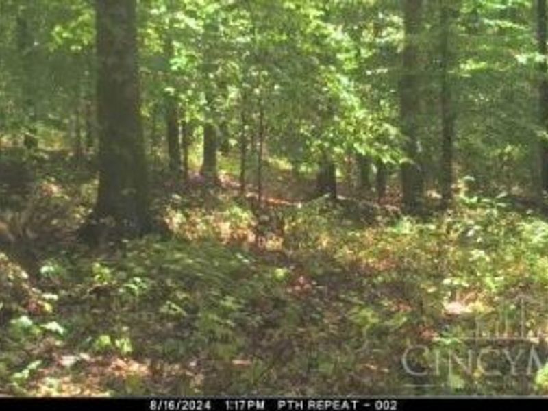 514 Dog Hollow Road, Otway, OH 45657 Photo 30