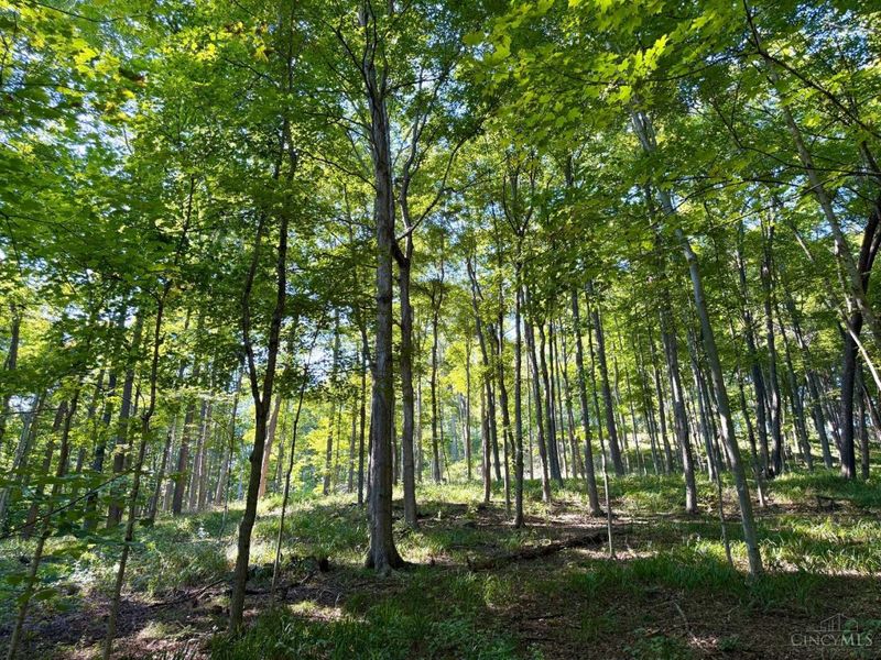 514 Dog Hollow Road, Otway, OH 45657 Photo 4