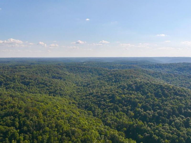 514 Dog Hollow Road, Otway, OH 45657 Photo 44