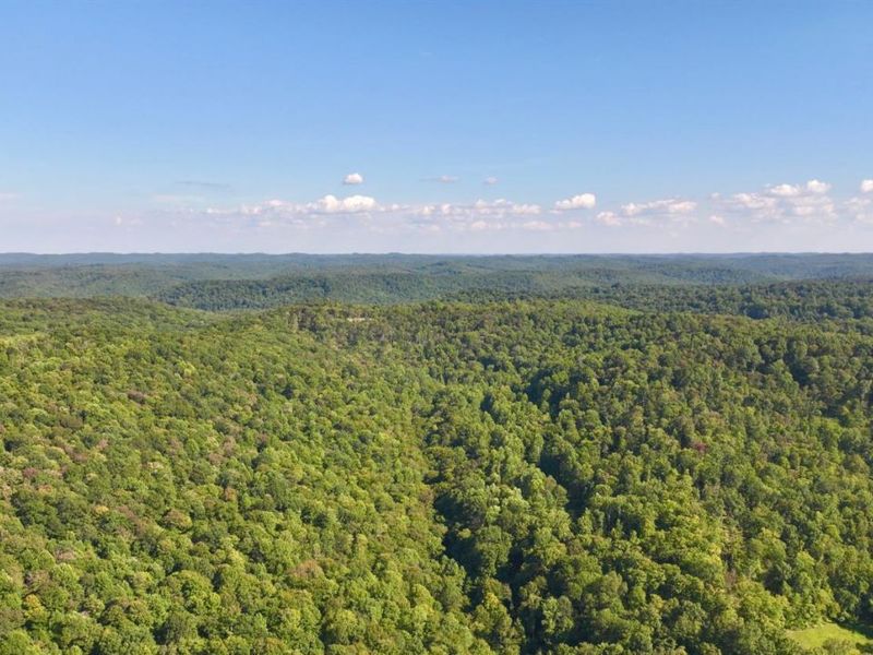 514 Dog Hollow Road, Otway, OH 45657 Photo 45
