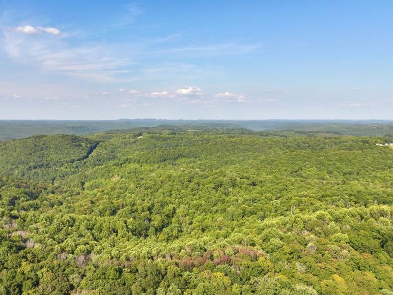 514 Dog Hollow Road, Otway, OH 45657 Photo 46