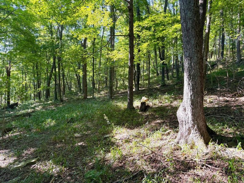 514 Dog Hollow Road, Otway, OH 45657 Photo 5