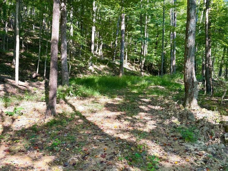 514 Dog Hollow Road, Otway, OH 45657 Photo 50