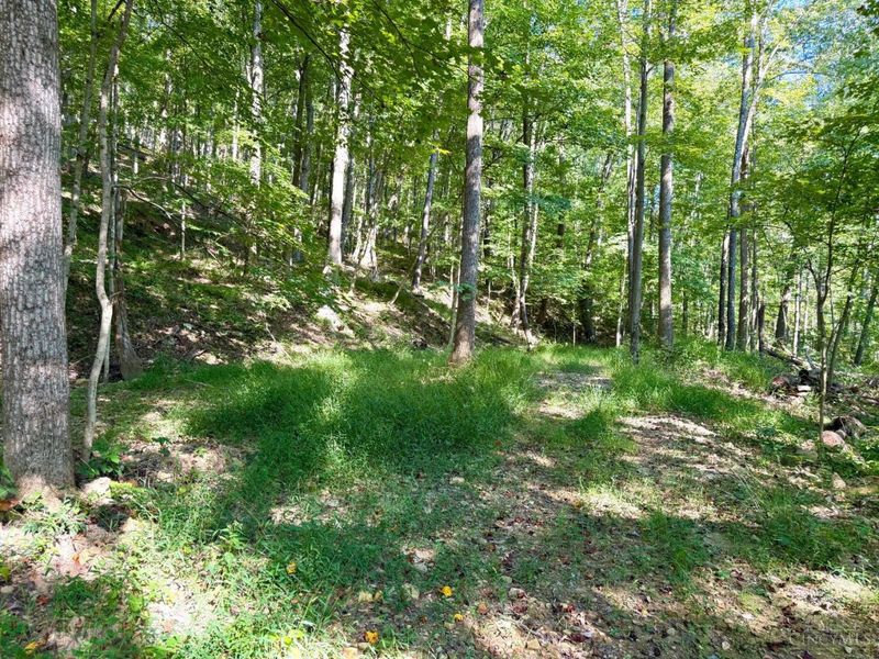 514 Dog Hollow Road, Otway, OH 45657 Photo 51