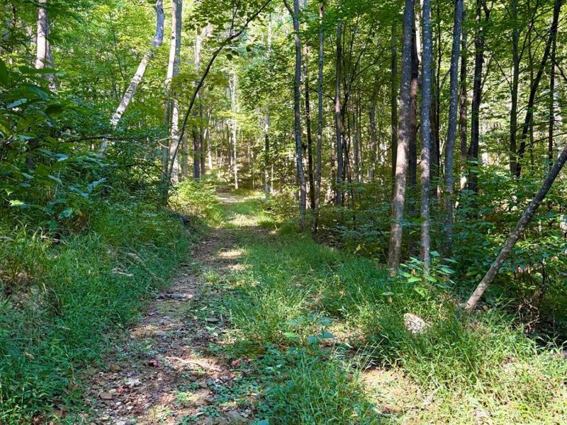 514 Dog Hollow Road, Otway, OH 45657 Photo 59
