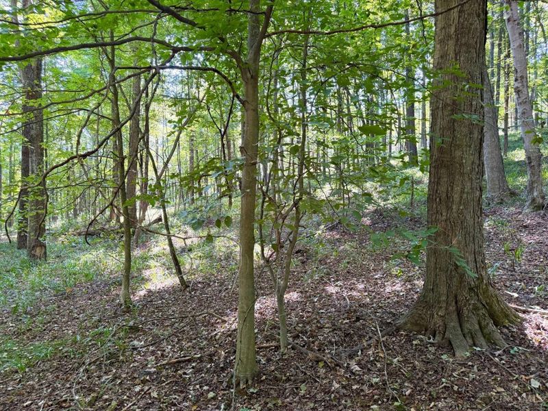 514 Dog Hollow Road, Otway, OH 45657 Photo 6