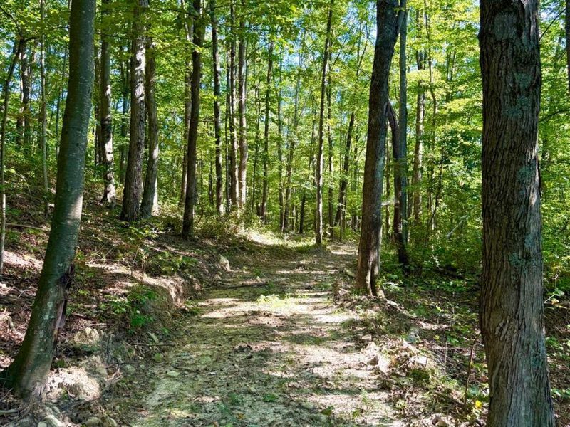 514 Dog Hollow Road, Otway, OH 45657 Photo 62