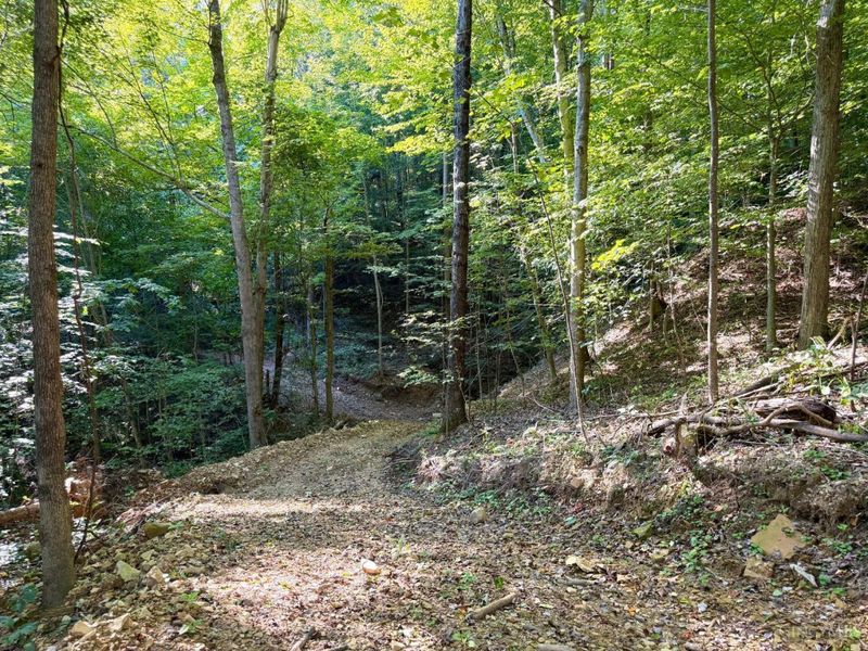 514 Dog Hollow Road, Otway, OH 45657 Photo 67
