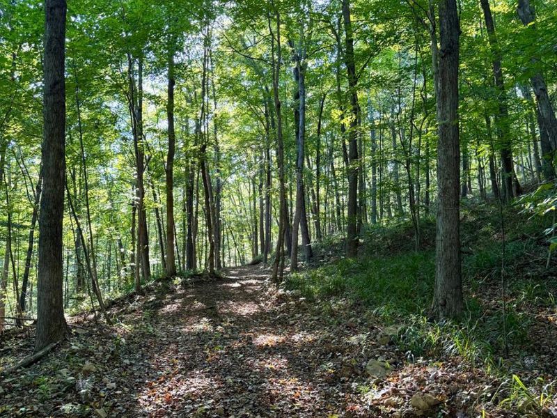514 Dog Hollow Road, Otway, OH 45657 Photo 68