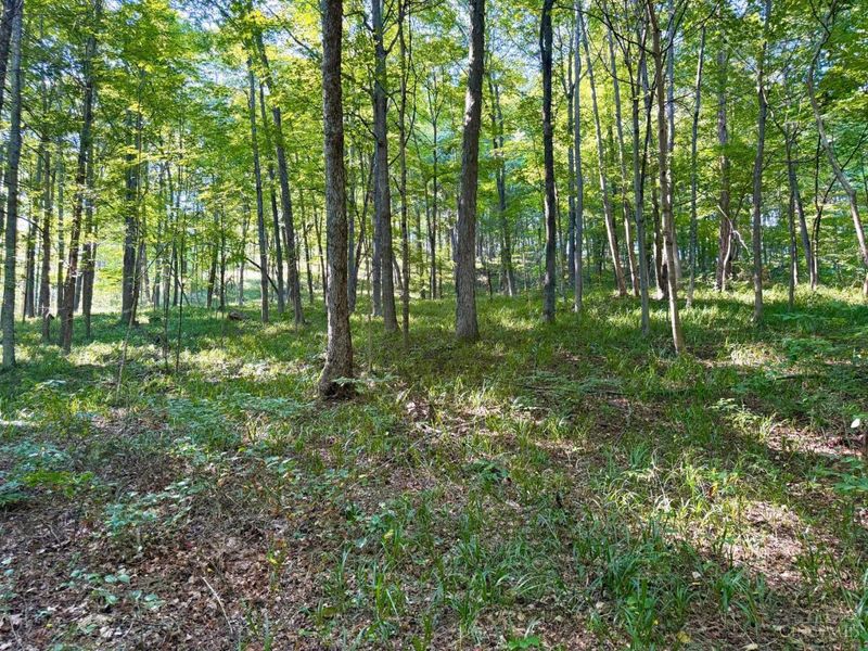 514 Dog Hollow Road, Otway, OH 45657 Photo 7