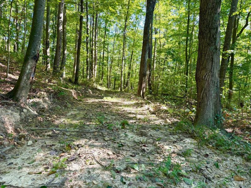 514 Dog Hollow Road, Otway, OH 45657 Photo 8