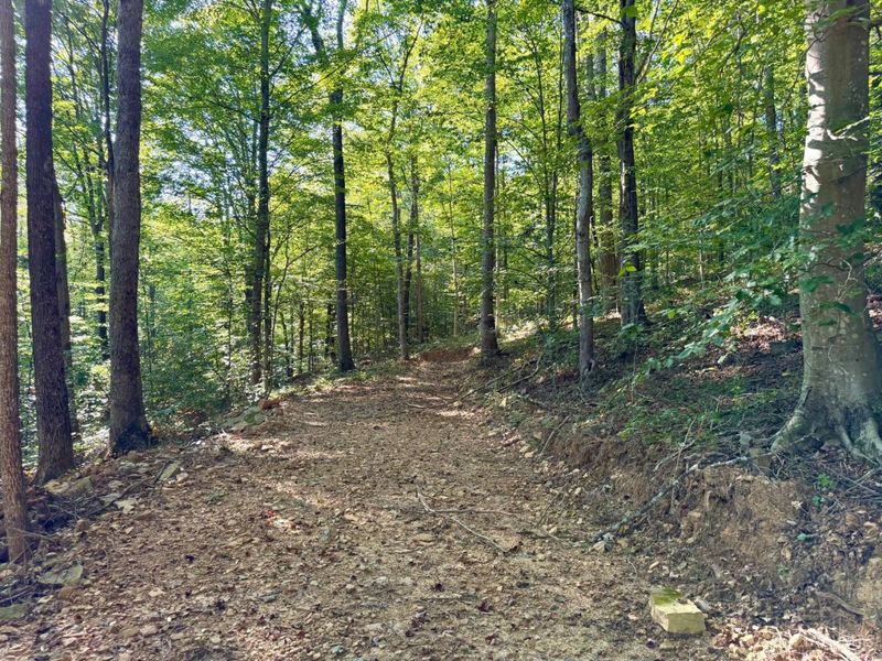 514 Dog Hollow Road, Otway, OH 45657 Photo 9