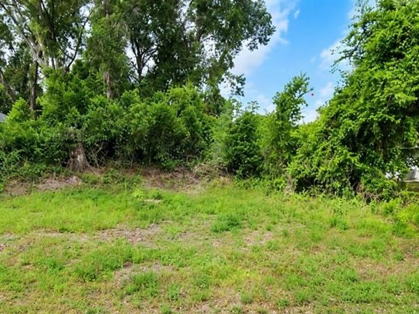 3190 N SHERLOCK POINT , HERNANDO, FL 34442
