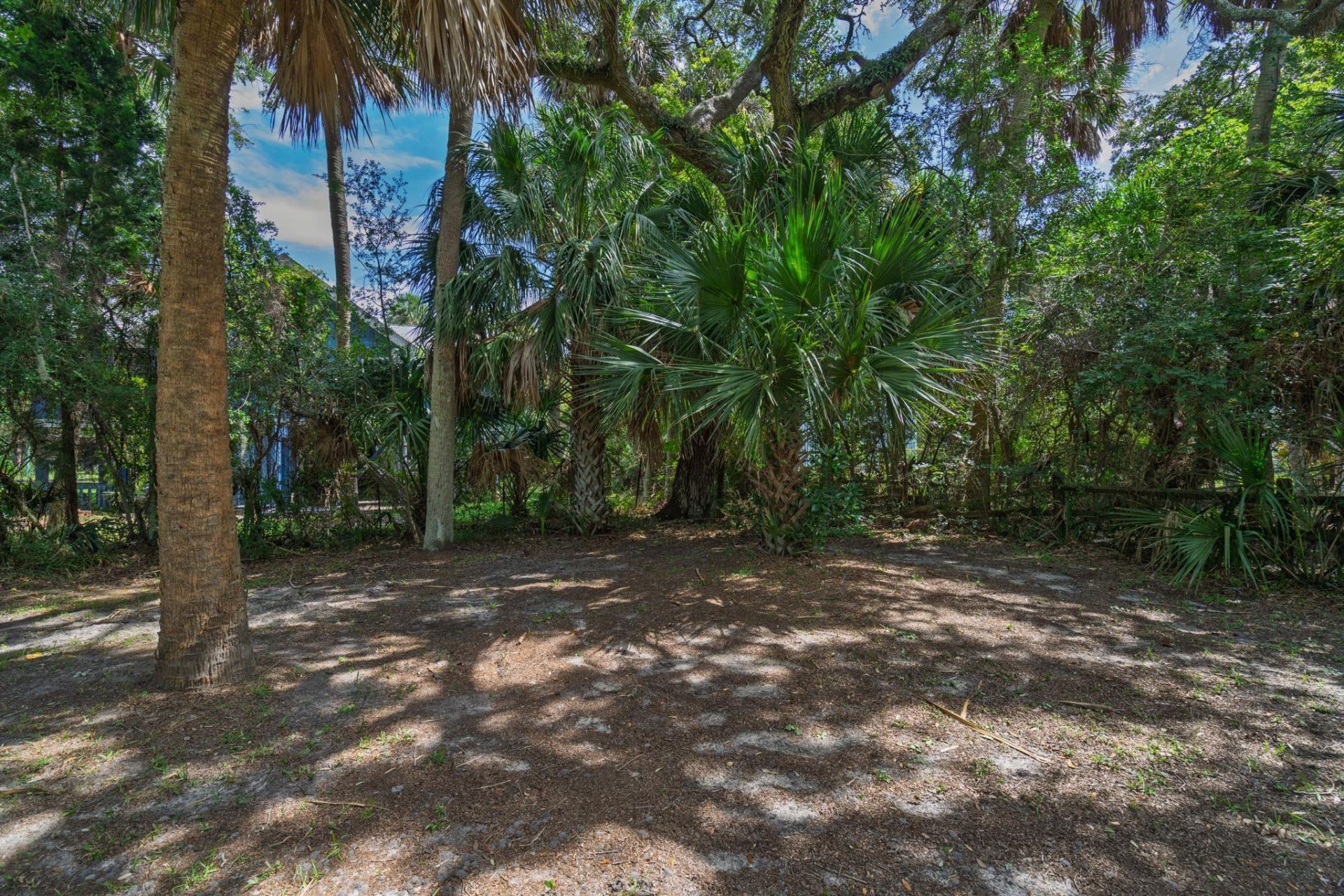 1219 Thistle Street Photo 39