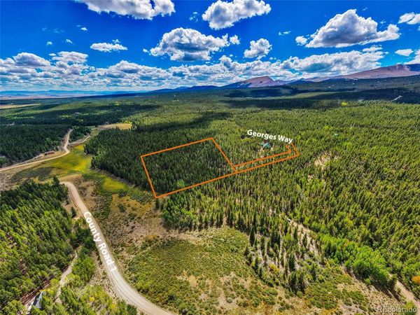380 Georges Way, Alma, CO 80420